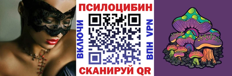 Купить где  Белинский  Псилоцибиновые грибы Psilocybine cubensis 